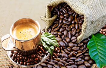 D'Vine Grindz coffee process